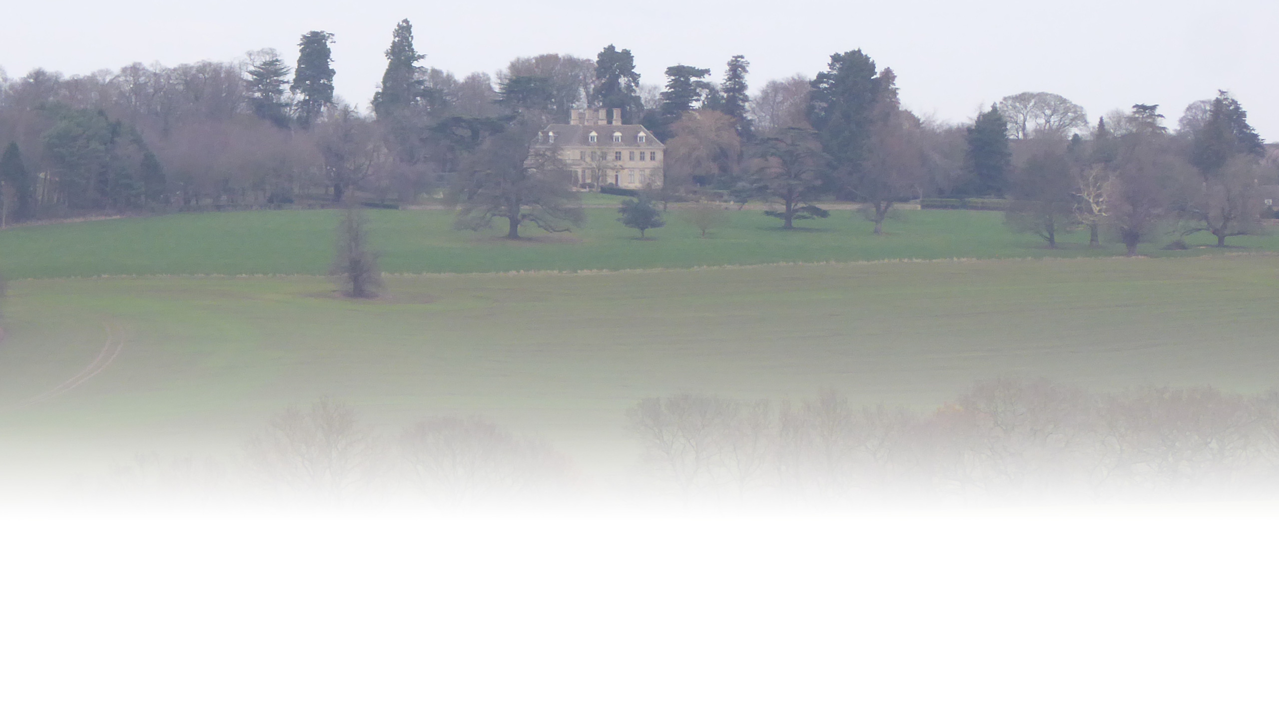 Lyndon Hall in the distance