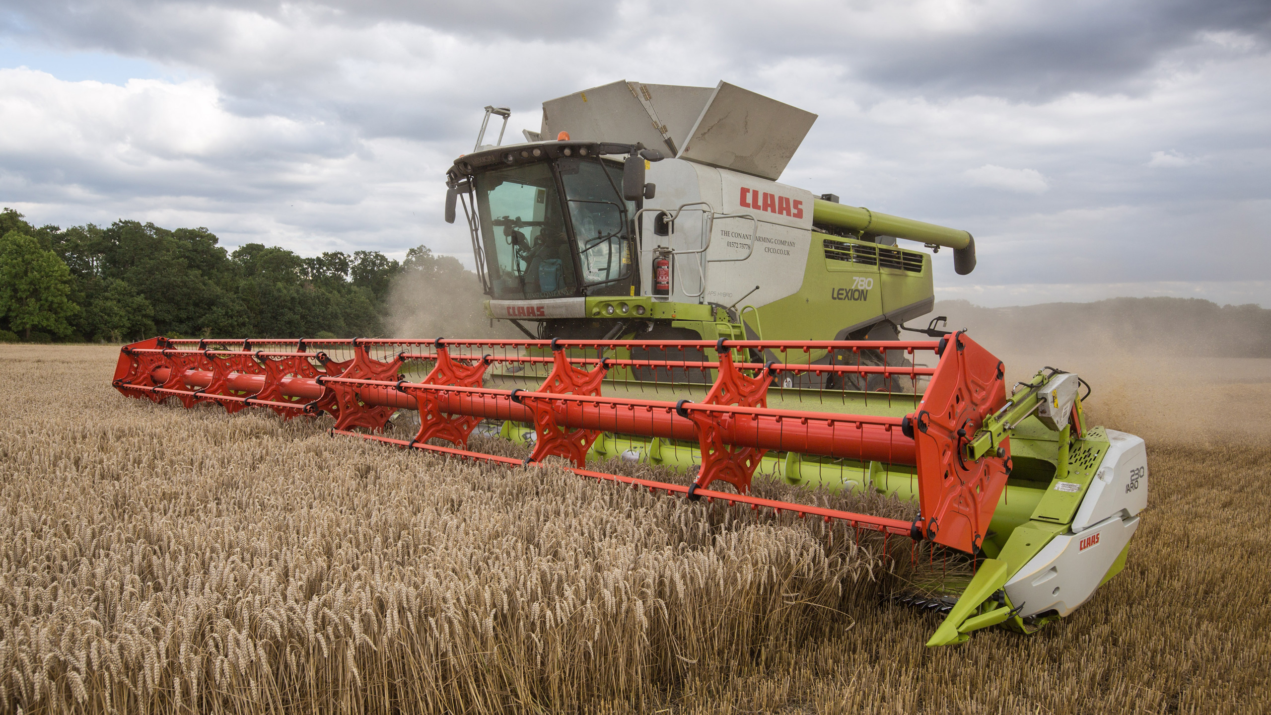 Claas Lexion 780 Combine Harvesting Wheat
