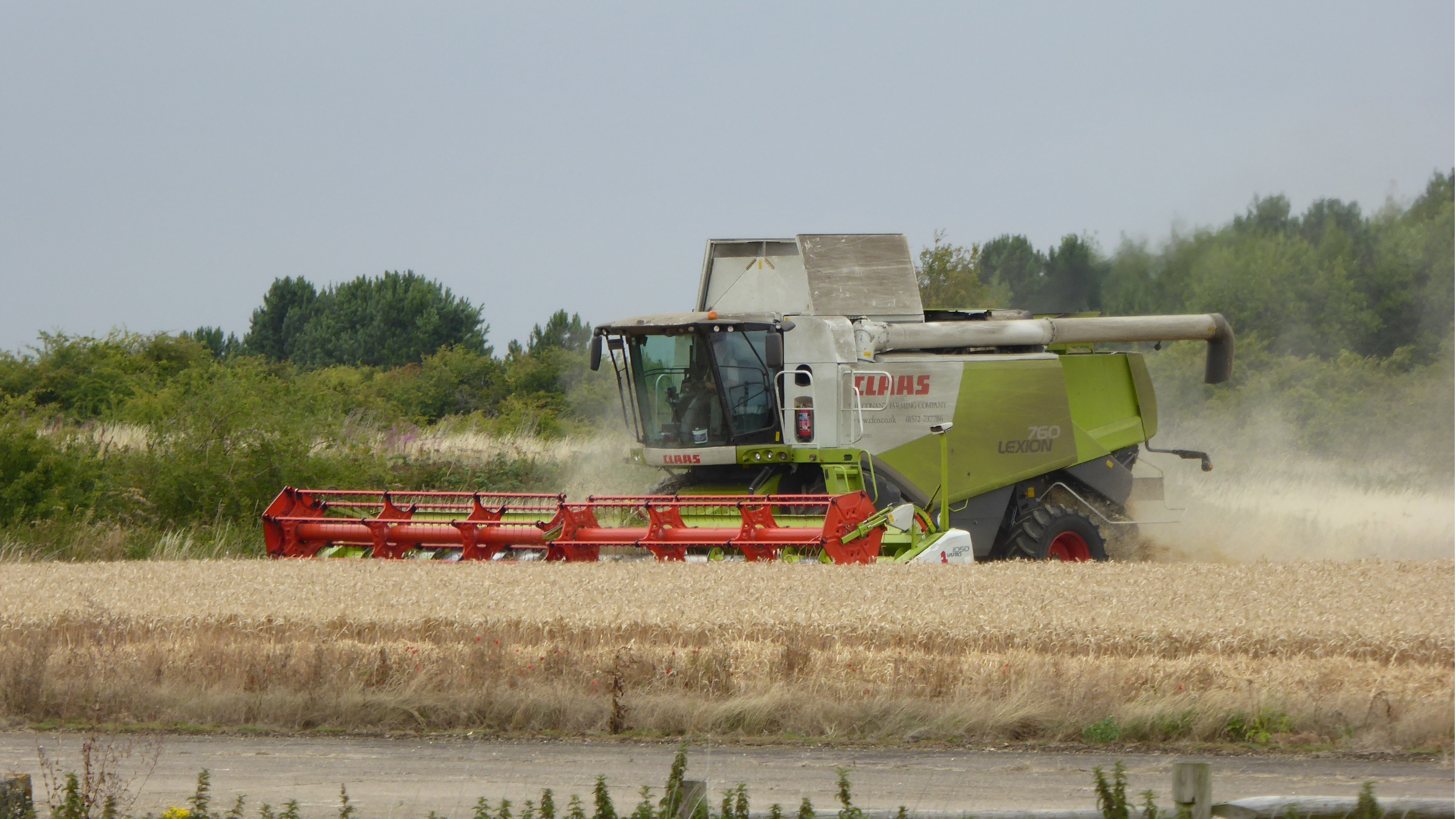 Class Lexion 760 Combining Winter Wheat
