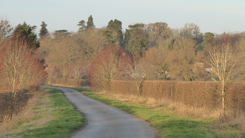 Lyndon Estate Conservation Picture Gallery