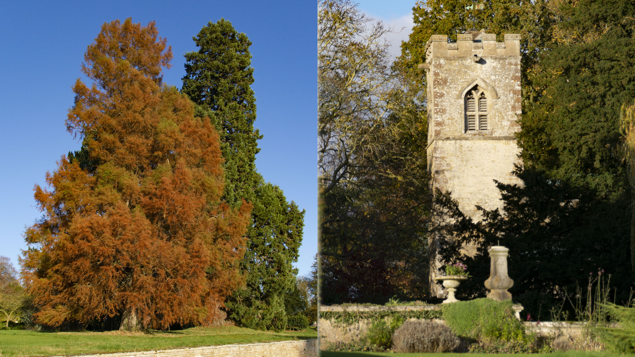 Autumnal Swamp Cyprus & St Martin's Church Shining Bright