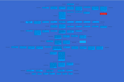The Conant Family Tree 2010